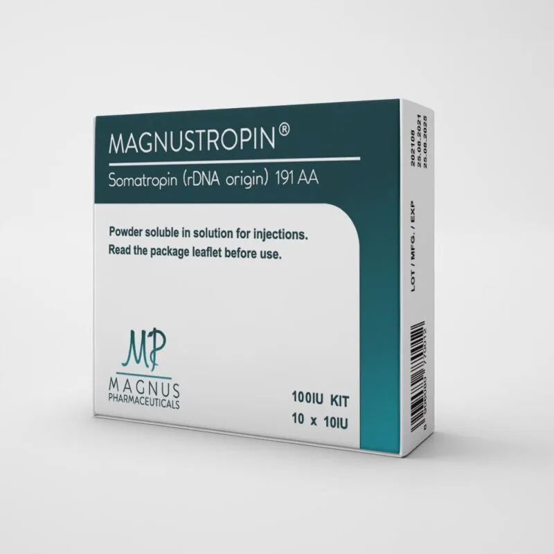 №7 Gain Mass Course – Magnus image 3